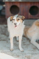 /album/261/whatsapp-image-2026-03-11-at-21-02-01-2-jpeg/